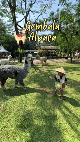 Family day out yang super seru di SQP Park, Arr happy main seharian bareng alpaca & banyak aktivitas edukatif juga disini! 🦙🌳✨  @Scientia Square Park  #SQPPark #ScientiaSquarePark #wisatatangerang #wisatajakarta 