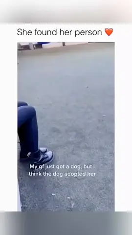 Funny animals 😂 #pet #cat #dog #cute #animals #foryou #typ 