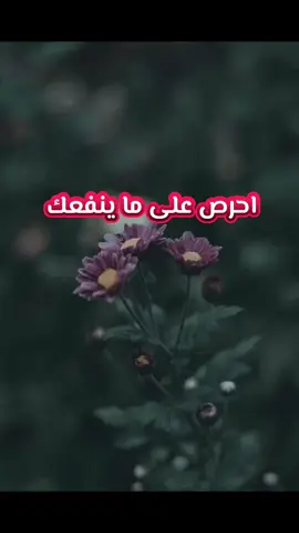 احرص على ماينفعك #عبدالرزاق_البدر #ليبيا #طرابلس #اللهم_صلي_على_نبينا_محمد #مصراته 