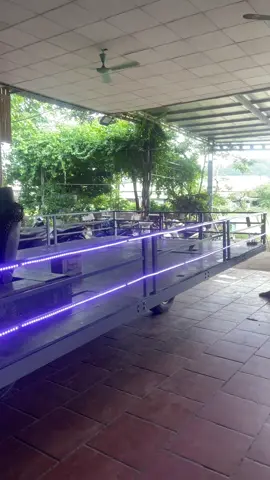 #môhinhtrungthu Tây Thiên