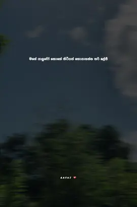 මම කියන්නෙ බොරුනම් comment බලන්න 😂👍 #trending #viral #foryoupage #fppppppppppppppppppp #onemillionview #onemillion #viralvideo #sinhala #feelings #mood #foryou 