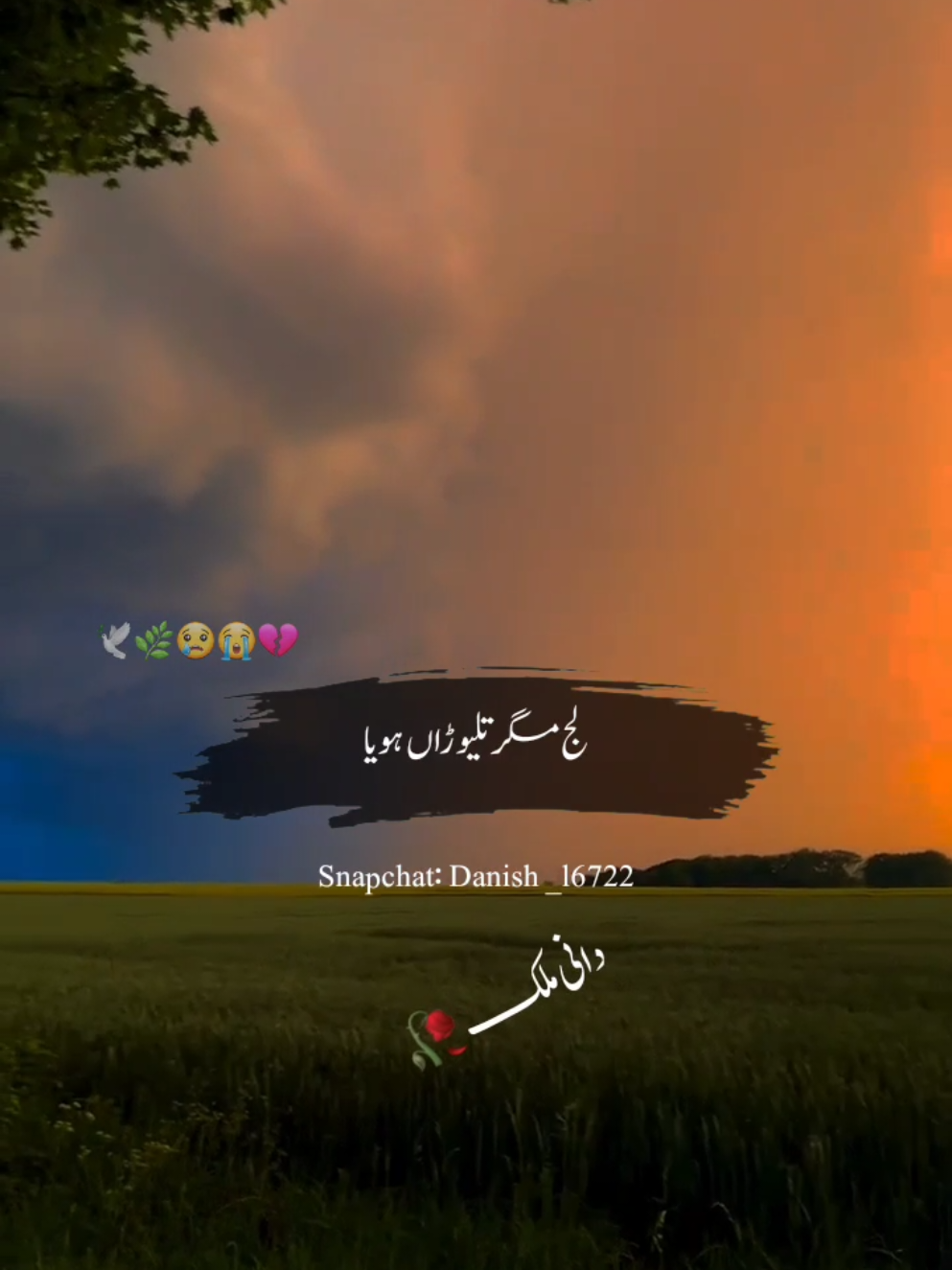 ساڈی قدر وی کوئی نئی#fyp #foryou #danimalik6 #standwithkashmir #viral 