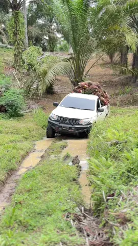 🤪🤪