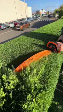 Le service ultime d'entretien et de nettoyage de pelouse ASMR - Vous rêverez d'un espace propre et confortable ! 🏡🌳😍 #garden #gardening #clean #asmr #fyp 