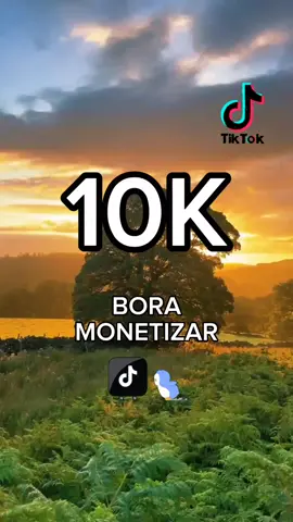 BORA MONETIZAR MINHA GENTE 🙏🏻🙏🏻 #boramonetizar #monetizacao #10k 