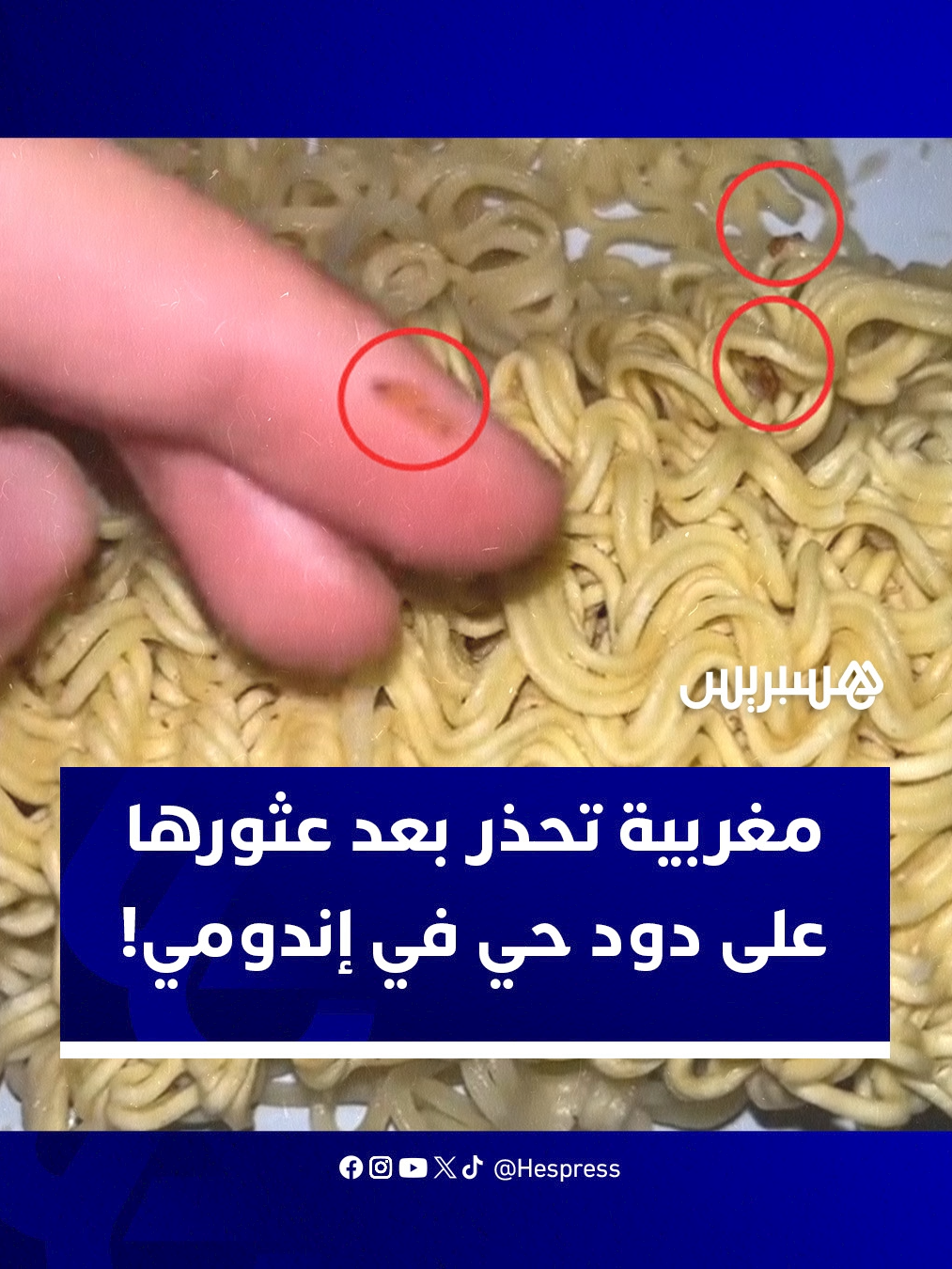 اكتشاف دود حي في 