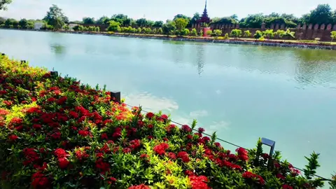 ထာဝရ မန္တလေး ... 🍂 တစ်ခါနေဖူးရင်  တသက်လုံးလွမ်းရတဲ့မြို့  #ထာဝရမန္တလေး #ကုသိုလ်တော်ဘုရား #မန္တလေး #မန္တလေးကျုံးဘေး #foryoupage 