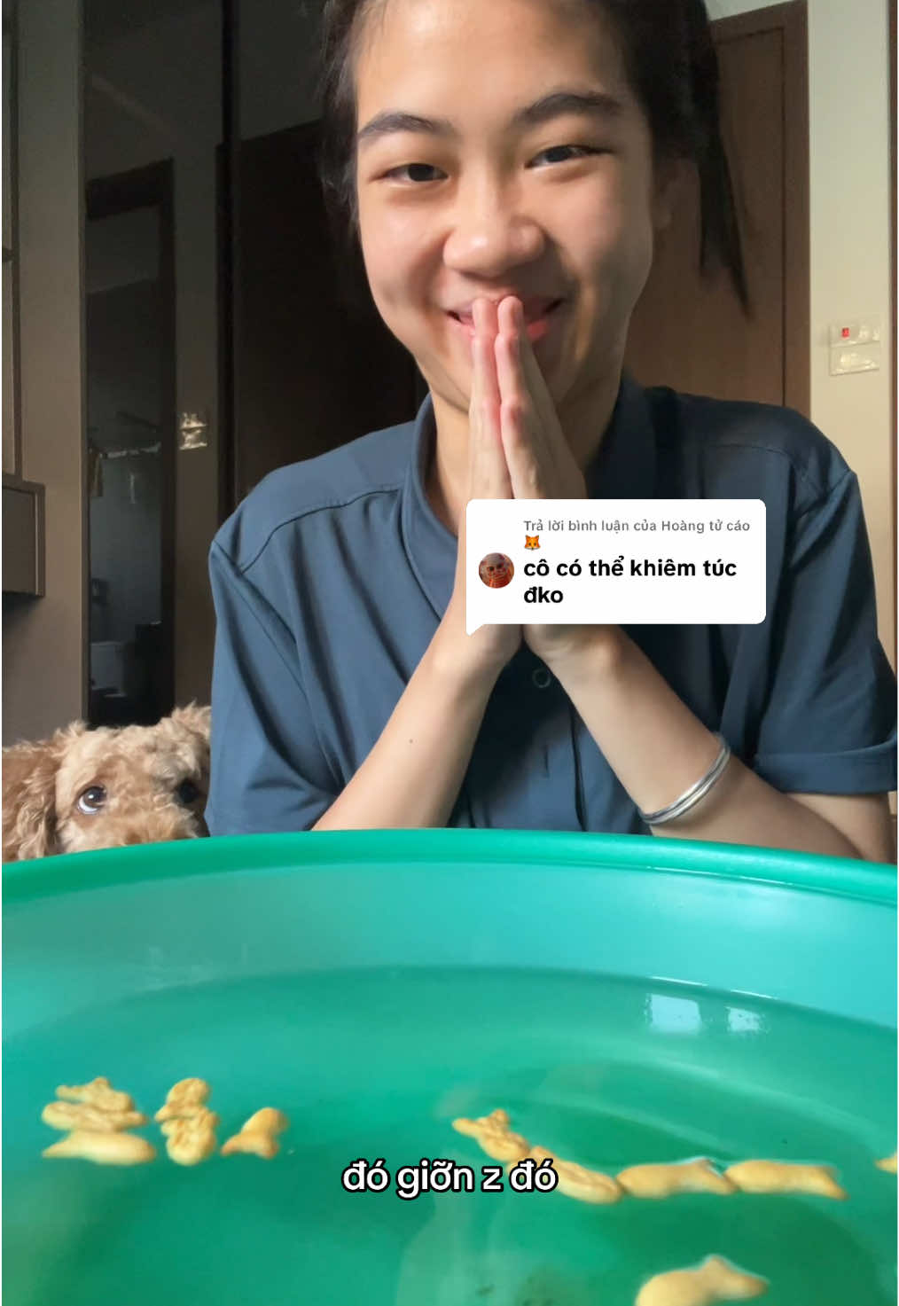 Trả lời @Hoàng tử cáo 🦊 