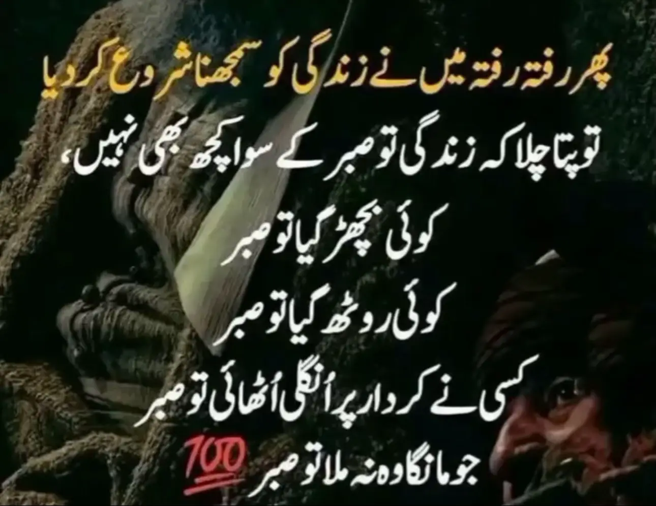#fyp #viral #tranding #viral #tranding 