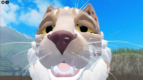 #warriors #xybca #fyp #wcue #warrorcats 