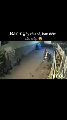 Ban ngày câu cá, ban đêm câu dép 🤣