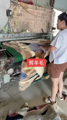 彩色羊剪绒绵羊皮毛毯子剪羊毛##传统手工艺 #真皮真毛 #实物拍摄 #羊皮毛一体制品 #剪羊毛 
