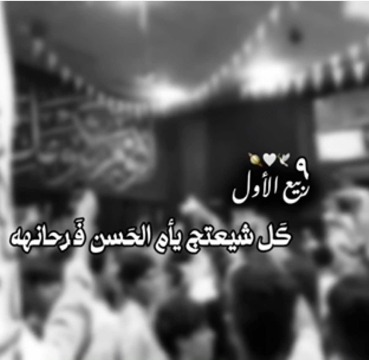 كل شيعتج يأم الحسن فرحانهه🕊🤍.#شيعة_علي_الكرار #فرحة_الزهراء #الشعب_الصيني_ماله_حل #fyp #dancewithpubgm 