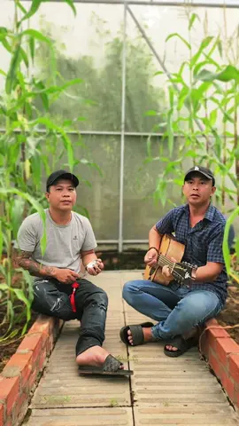 Cô em bán chôm chôm... #bolero #nhacchevui #nhacchetungchua #bomuong #nhacchehay 