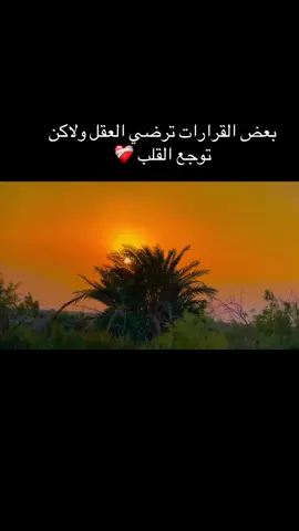 بعض القرارات ترضي العقل ولاكن توجع القلب ❤️‍🩹#عبارات_جميلة_وقويه😉🖤 #عبارات_حزينه💔 #عباراتكم_الفخمه📿📌 #عبارات #اكسبلور 