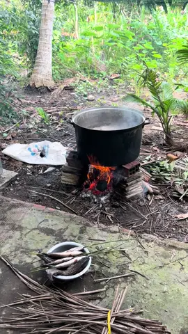 Chiều rồi hỏng thấy thằng nào hú hí gì hết ta#xuhuong #annhaumientay #nhaunhet #nhaudi #anuong 