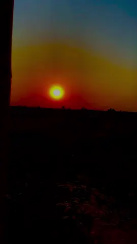 مامني بحياتي راحت الضيع #تصويري 