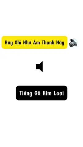 Phần 173 | Các tiếng kêu lạ trên xe tải #phutungmanhhungbg #meoxetai #phutungoto 