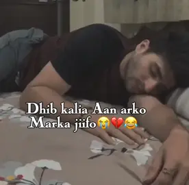 😭😂#soomalitiktok #sheekhmohame1 #veiwsproblem 
