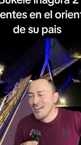#creatorsearchinsights 
