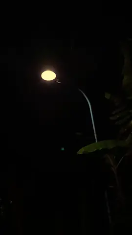 - *‏ليس كل جميل يحتاج إلى الوصول إليه؛ فبعض الأشياء يُستمتع بها عن بُعد. تبقى السماء مهيبة، حتى وإن تأملناها بصمت* - *Tak semua indah harus digapai, ada yang cukup dinikmati dari kejauhan. Langit tetap megah, meski hanya kita pandang dalam diam.* #quotesislam #mahalulqiyam🤲 #sholawatnabi #pfypシ #banjaristory 