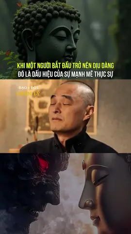 Khi một người bắt đầu dịu dàng #vienchibao #daodoitvchanly #xuhuong 