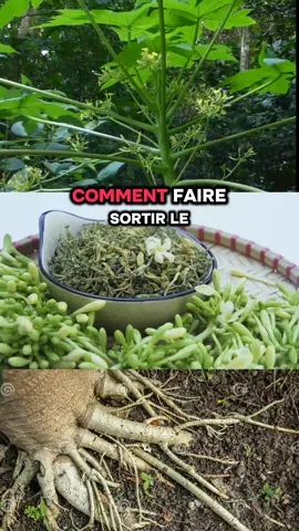 #fypシ゚viral🖤tiktok #fyp #pourtoii #conseildevie #astuce 