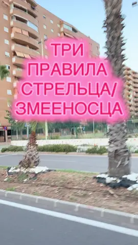 #стрелец ♐️ #змееносец ⛎ #sagittarius #ястрелец #зз 