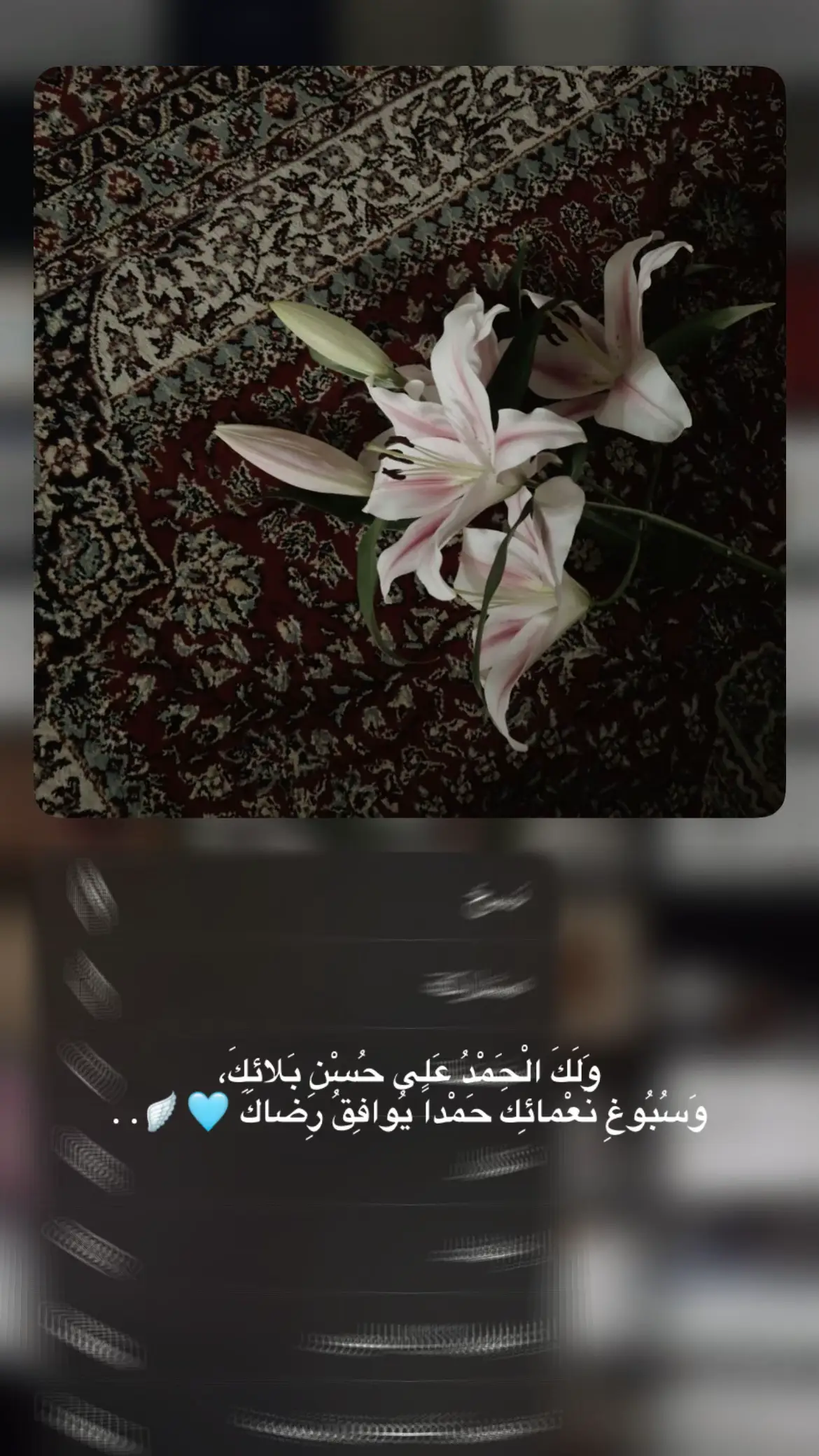 الحَمدُللّٰه عَلى نِعمة حُبَّهُ وهدايتهُ لنَا وإننَّا نَعصيهُ كُلَ يَوم وكُلَ ساعةَ .#خـاتونہۧ #قناتي_التلي_بلبايو_ildl8i 