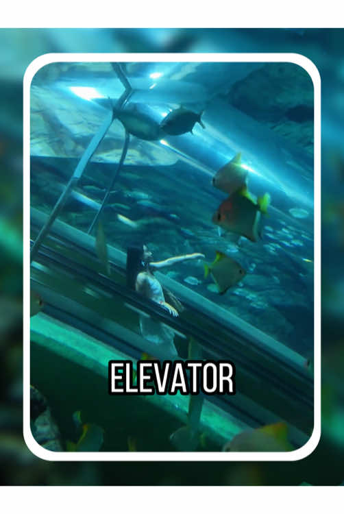 A roundup of the most unique elevators#popular #usa_tiktok #usa #america #gag 