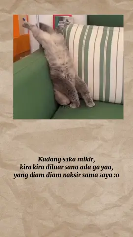 kira kira dululah #quotes #fypage #carifyp #kucing #serunyabelajar 