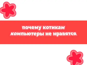 Новый видос наконец #меме #анимация #котики #ос #animation 
