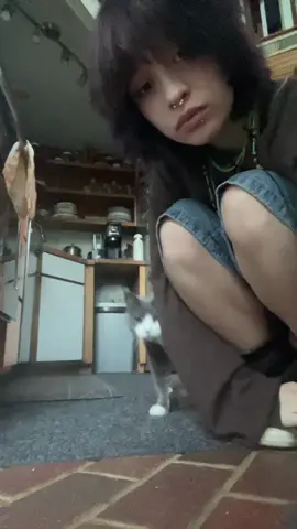 Hobo #cat#ootdinspo #fyp 