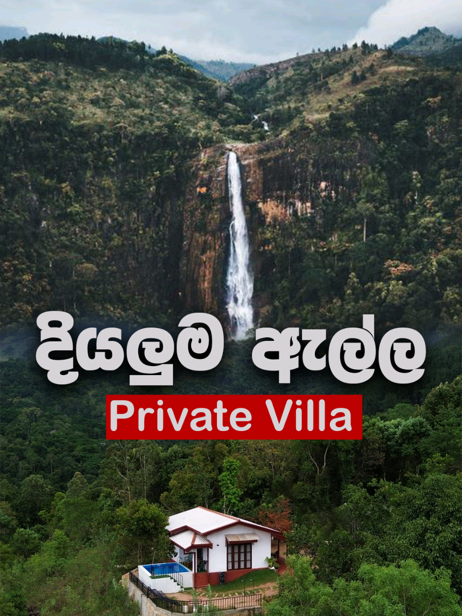 කෑම බීමත් එක්ක රු.2500 ක් විතරයි 😵 Private Pool තියෙන සුපිරි විලා එකක් . . #creatorsearchinsights #privatevilla #hotelsandresorts #privatepool #budgethotels 