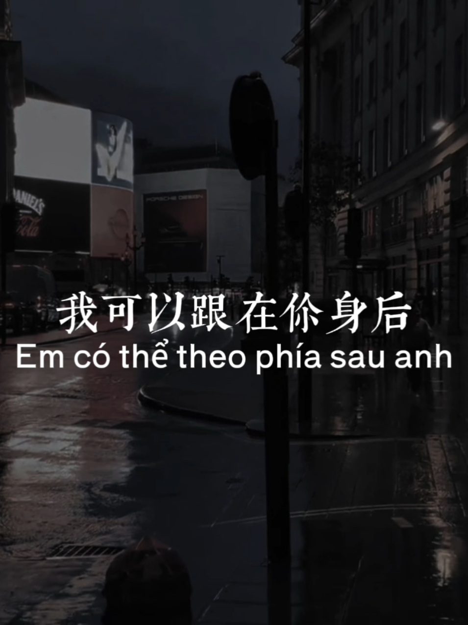 追光者 | “Em chỉ muốn ở phía sau anh, lặng lẽ dõi theo như bóng nắng.