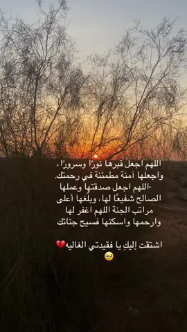 #امي_جنتي_رحمك 