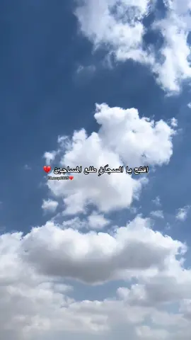 سبحانك أثق أنّ لديك حكمة لكُلّ ما يجري؛ لكن أفرِغ عليَّ صبرًا..❤️‍🩹 #اسير #اسيري #أسير_قلبي #اكسبلورexplore #افتح_يا_سجان_طلع_المساجين 