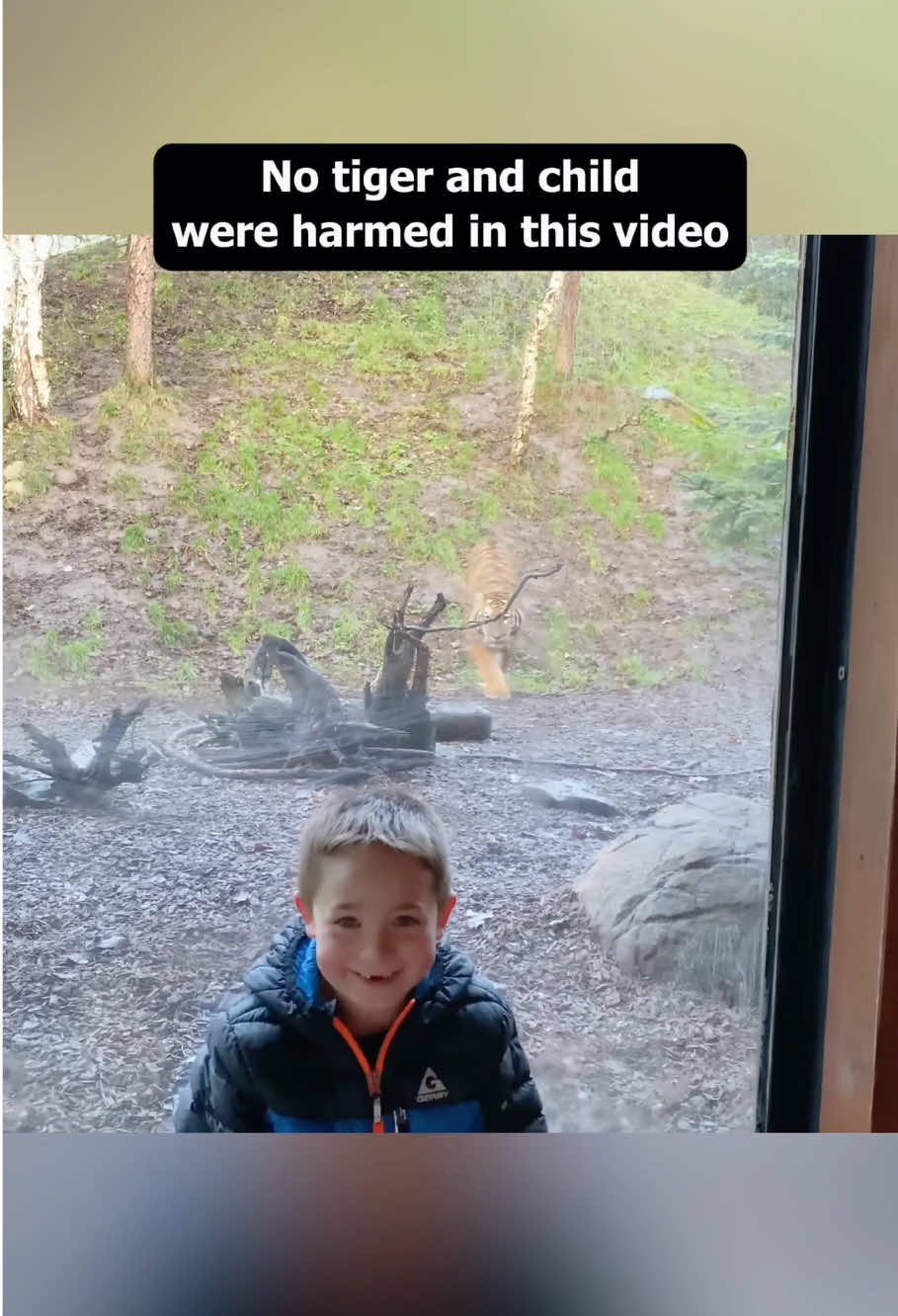 animals jumpscare mode on #baby #funny #kid #animals #toys 
