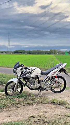 Monggo prosotannya mas🤣 #tigergank #tigermodifikasi #tigerherex #tigeralbino #fyp 