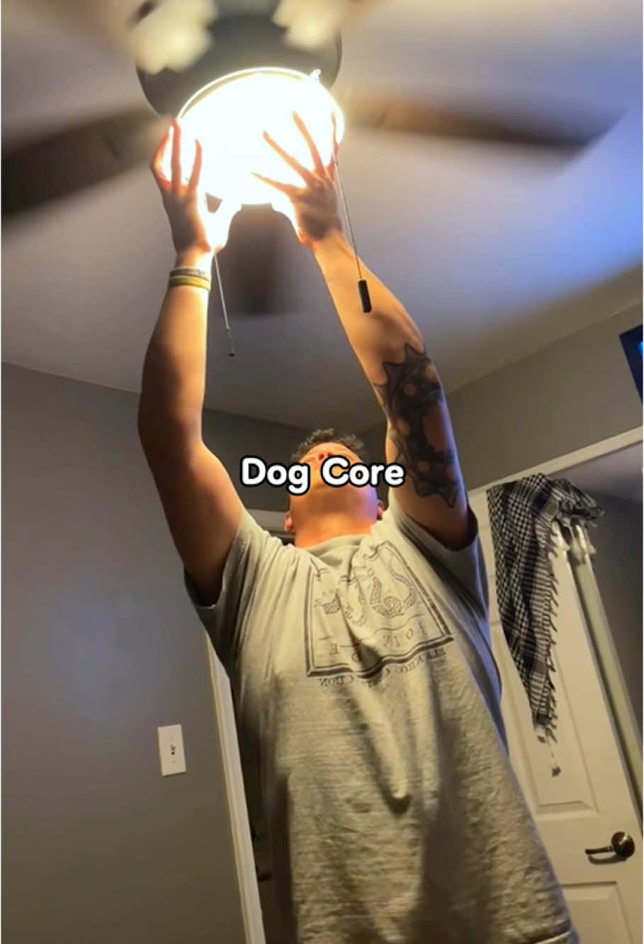 The unfortunate dog#dog#funny#funnyanimals#funnypets#animals #dogsofttiktok #pet #foryou #longervideos