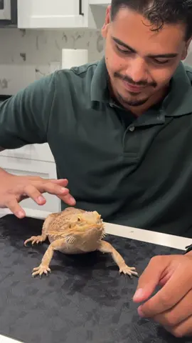 #getsilly 
