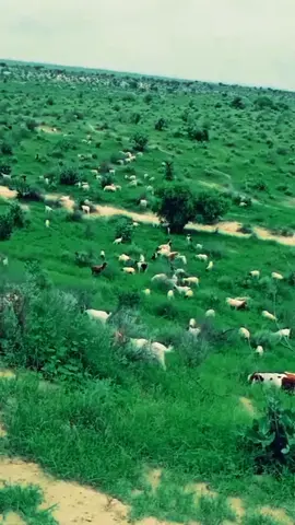 #For #f #foryoupage❤️❤️ #for 