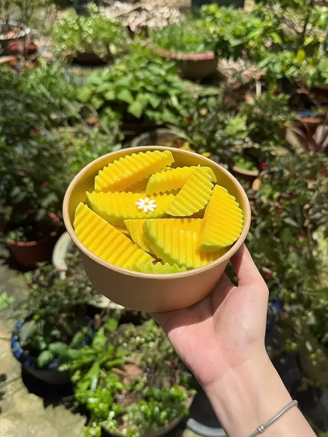 Nay em có xoài này ngon đỉnh chóp lun ạ 🤤🤤 ✨Xoài giòn giòn, ngọt bột mà thơm cái mùi đặc trưng lắm nhất định phải thử nha khách ơiii🥰💯 ✨Giòn rụm từng miếng, chấm muối tây ninh bên em là hết sẩyyy 😋😋 👉🏻 Hộp 25-30xu💰ăn ứ hự  Xoài đã gọt sẵn, muối đã có sẵn, chỉ thiếu mỗi bạn thôi 😒#traicaygotsan #traicaymix #traicaytravinh #gotfruits #travinh84 