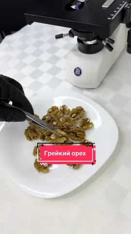 Вы когда-нибудь видели грецкий орех под микроскопом??? #fyp #microscope #рекомендации 