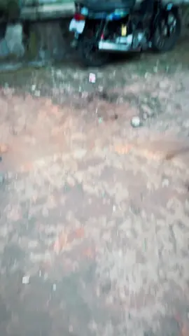 paoraa#fypシ #astreagrandindonesia #terbaru #trenddddddd #tendingvideo 