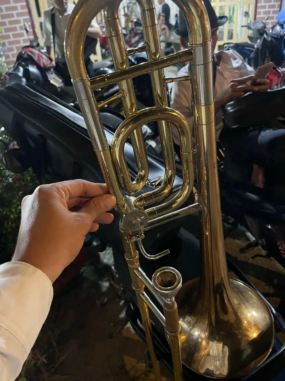 Cây kèn cỏ🥰