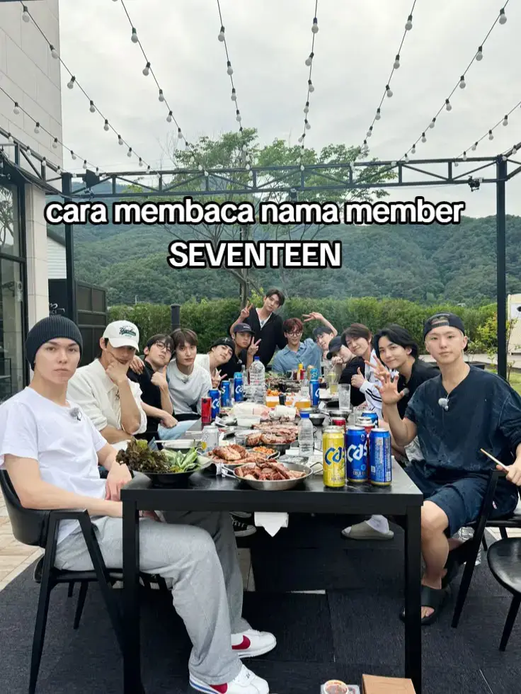 req: @edits_vfanxx  #seventeen #carat #kpop #fyp #mingyu 