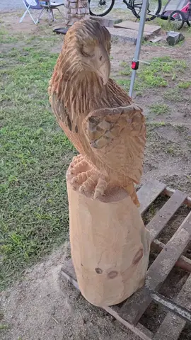 paint job up next today 🎨  #indianacarvings #foryoupage #fyp #eagle 