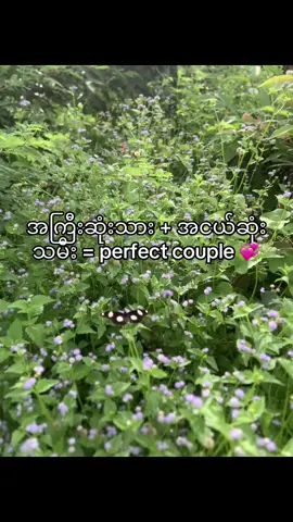 @E ၃လကြီးနေတော့ခက်တယ်😭#fypシ #views #ဒီတစ်ပုဒ်တော့fypပေါ်ရောက်ချင်တယ် 