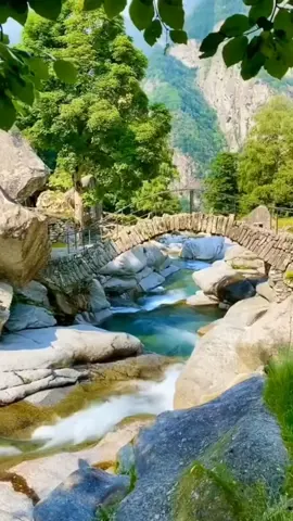 cảnh đẹp nhạc hay  ck, gõ cửa 